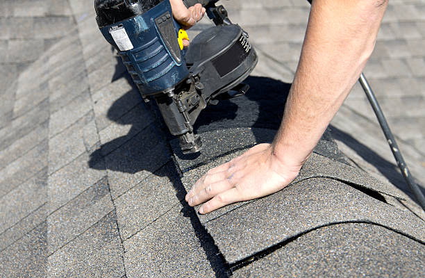 Best Roof Moss and Algae Removal  in Mcconnell Af, KS